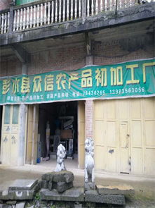 重慶彭水縣眾信農產品初加工 專業農作物加工與農副產品銷售的可靠選擇